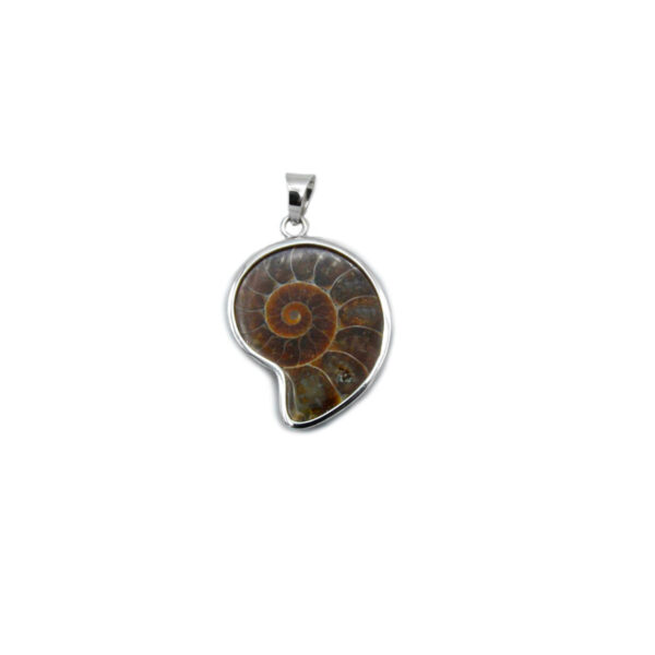 colgante ammonite pequeño en plata de ley 925